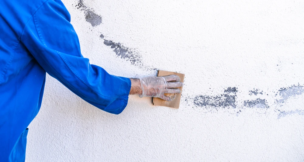 ways we make exterior painting in pasadena stand out